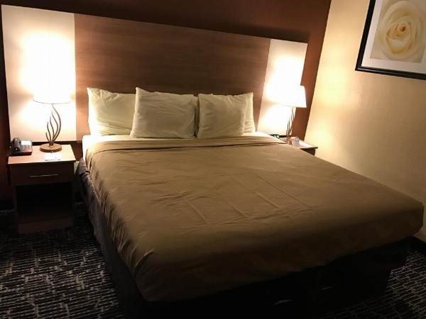 Quality Inn Near Pimlico Racetrack image 13